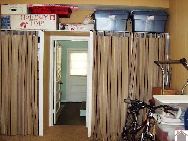 interior space featuring carpet flooring