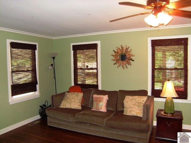 living room featuring ceiling fan, crown molding, and dark wood-type flooring