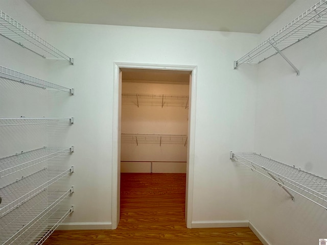 walk in closet featuring wood-type flooring