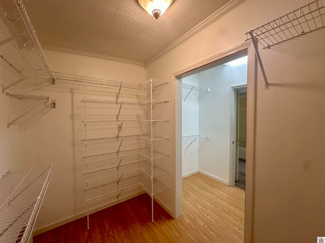 walk in closet featuring light hardwood / wood-style flooring