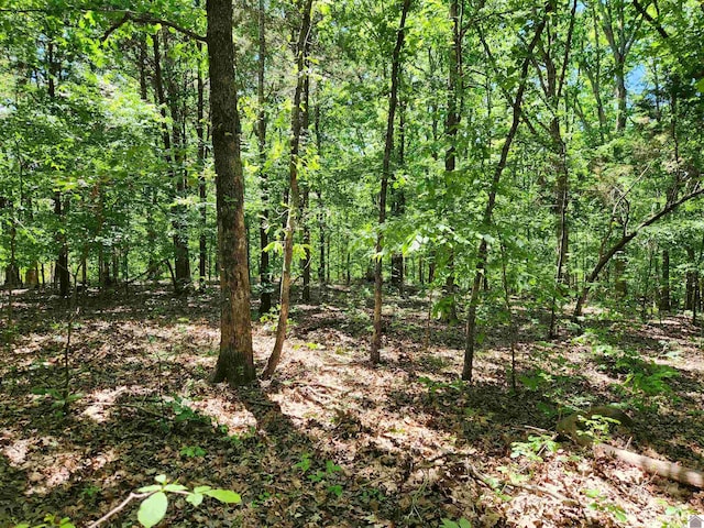 00 Hills Hollow Rd, Murray KY, 42071 land for sale