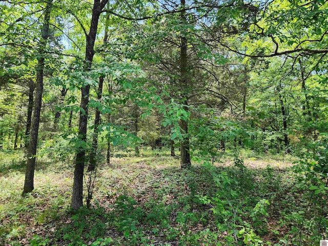 Listing photo 2 for 00 Hills Hollow Rd, Murray KY 42071