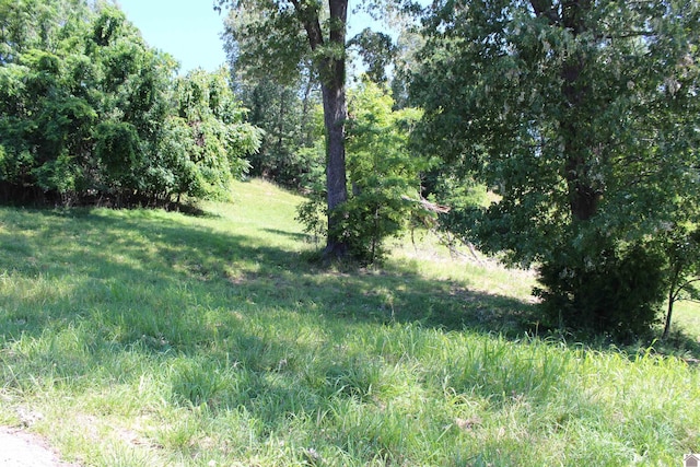 Listing photo 2 for LOT27 Oak View Ln, Eddyville KY 42038