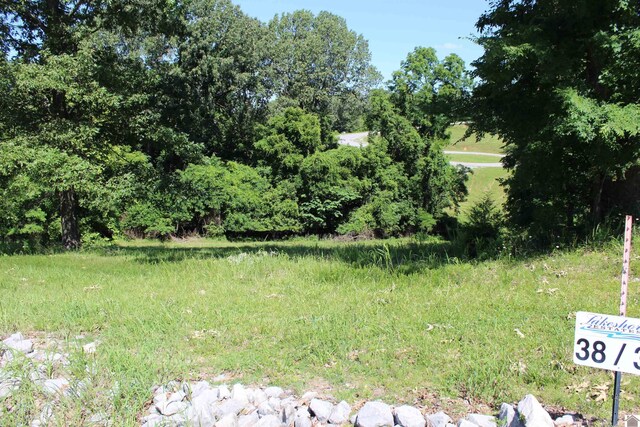 LOT38 Oak View Ln, Eddyville, KY 42038
