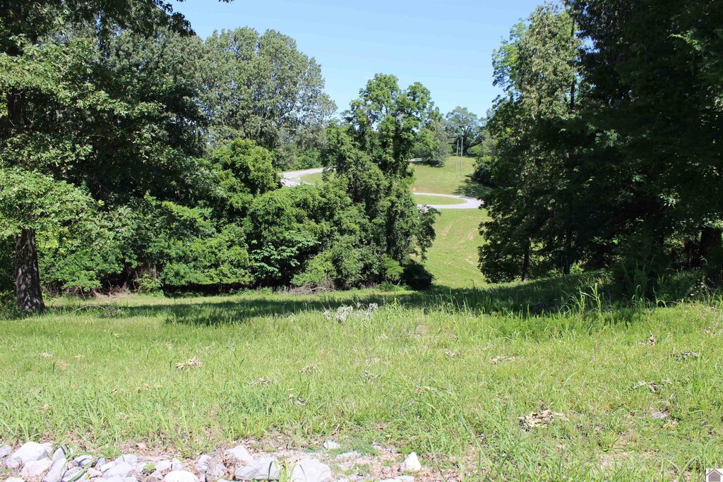 LOT38 Oak View Ln, Eddyville, KY 42038