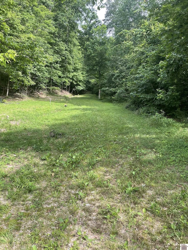 3642 Linton Rd, Cadiz KY, 42211 land for sale