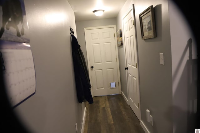 hallway featuring dark hardwood / wood-style floors