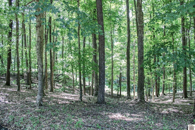 0 Indian Hills Trl, Eddyville, KY 42038