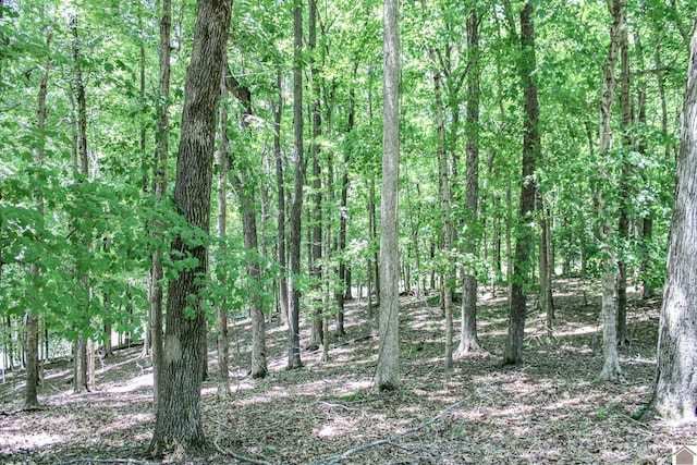 0 Indian Hills Trl, Eddyville, KY 42038