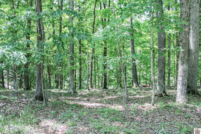 0 Indian Hills Trl, Eddyville KY, 42038 land for sale