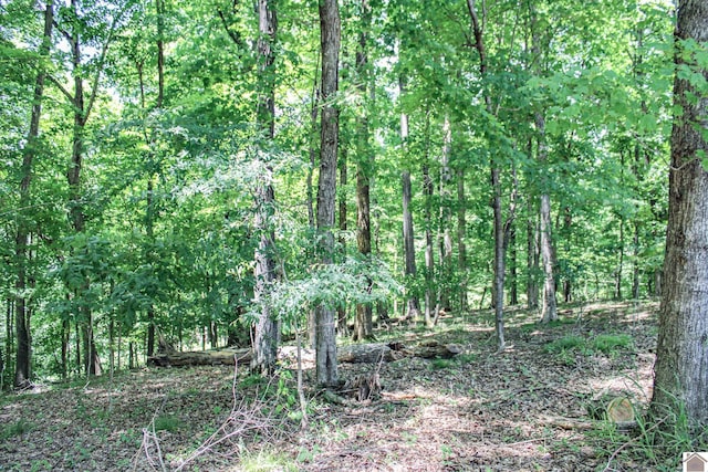 Listing photo 3 for 0 Indian Hills Trl, Eddyville KY 42038