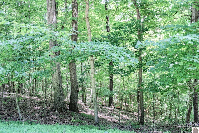 0 Algonquin Rd, Eddyville KY, 42038 land for sale