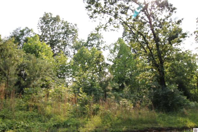 00 Lillie Ln, Gilbertsville KY, 42044 land for sale