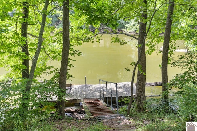 dock area with a water view