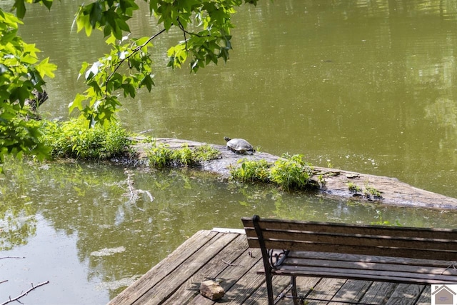 view of dock area