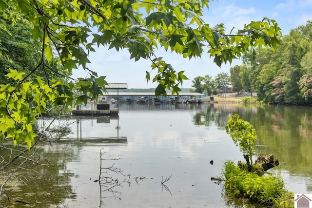 view of water feature