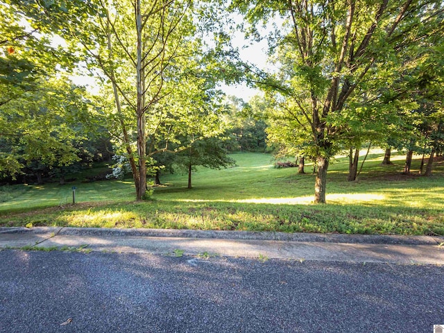 Listing photo 3 for LOT11 Tradition Dr, Benton KY 42025