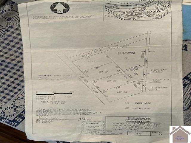 277 Faye Dr, Ledbetter, KY 42058