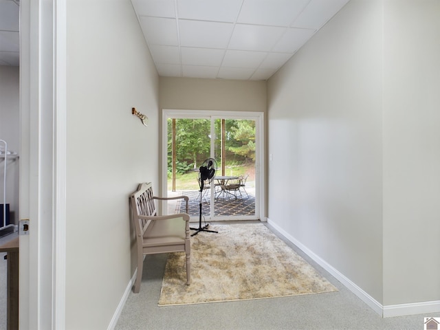 living area featuring carpet flooring and a paneled ceiling