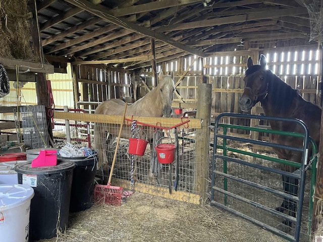 view of horse barn