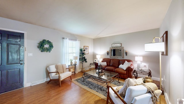 living room featuring wood-type flooring