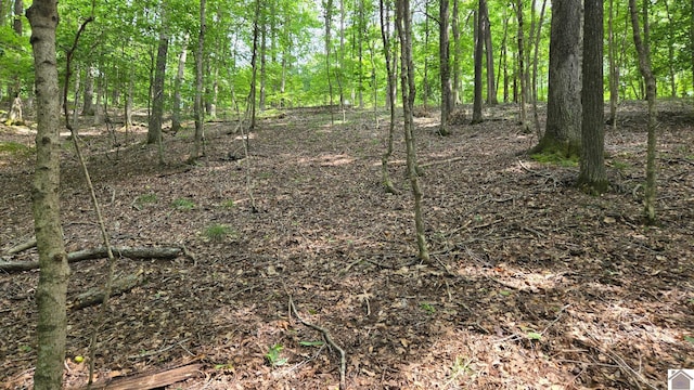 Listing photo 3 for LOT81 Periwinkle Hill Rd, Cadiz KY 42211