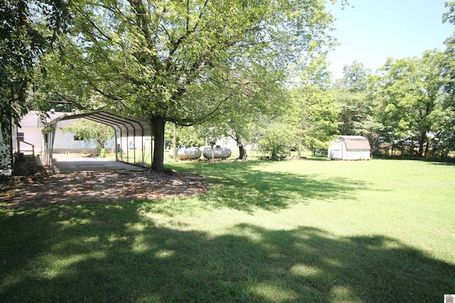 view of yard with a carport