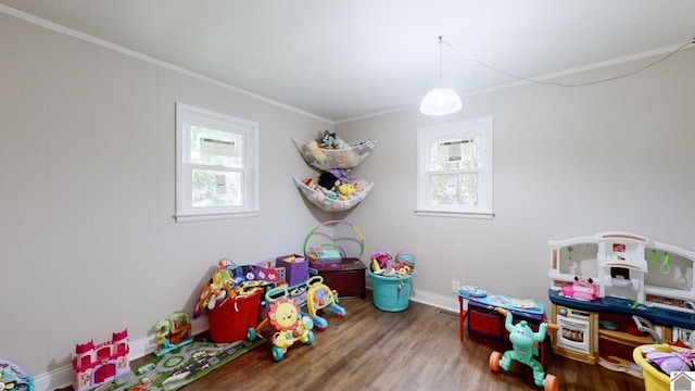 playroom with crown molding and hardwood / wood-style floors