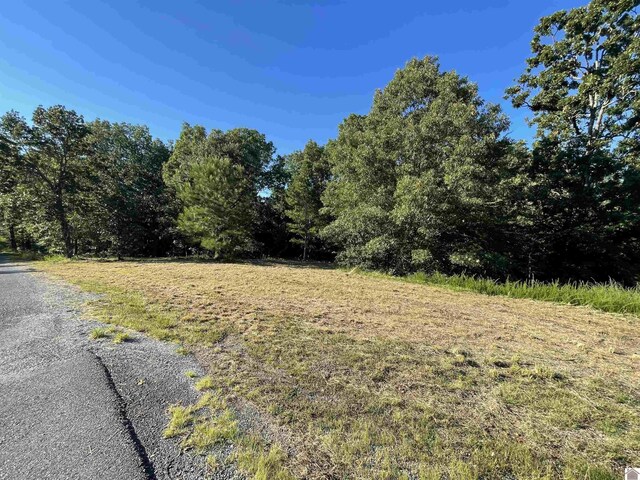 LOT45 Patricia Dr, New Concord KY, 42076 land for sale