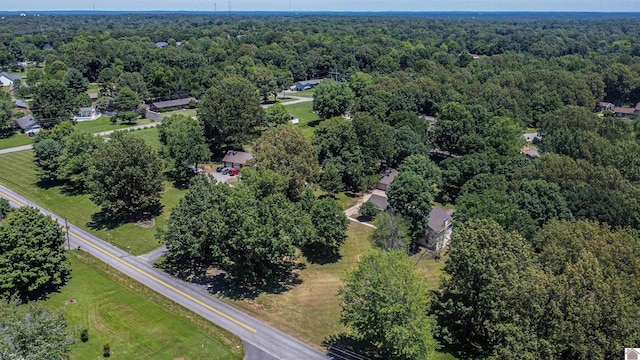bird's eye view