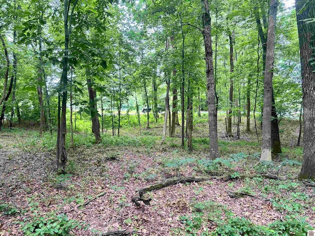 Listing photo 3 for 650 S Gum Springs Rd, Mccracken C KY 42001