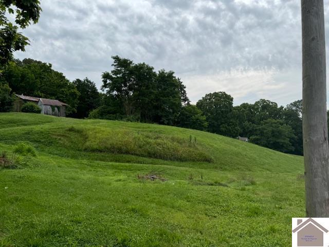 360 Boyds Landing Rd, Canton, KY 42211 - view of grassy yard