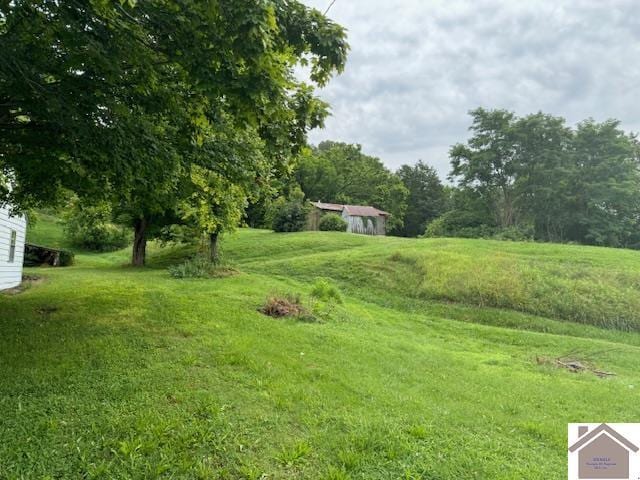 360 Boyds Landing Rd, Canton, KY 42211 - view of grassy yard