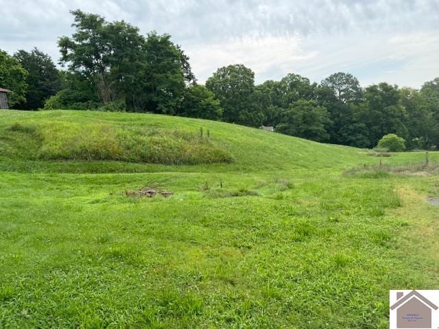 view of landscape featuring a rural view