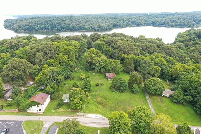 360 Boyds Landing Rd, Canton, KY 42211 - drone / aerial view of a large body of water and a forest