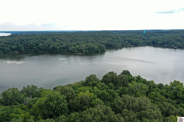 360 Boyds Landing Rd, Canton, KY 42211 - aerial view of a heavily wooded area and a nearby body of water