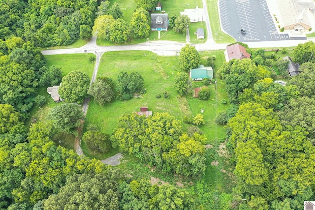 360 Boyds Landing Rd, Canton, KY 42211 - aerial view of property and surrounding area