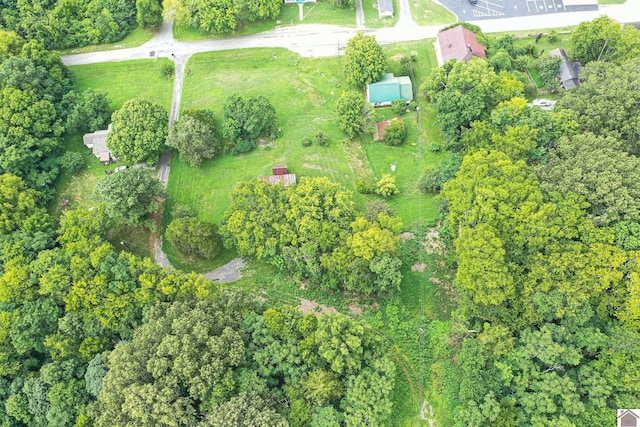 360 Boyds Landing Rd, Canton, KY 42211 - view of property location