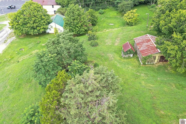 360 Boyds Landing Rd, Canton, KY 42211 - view of subject property
