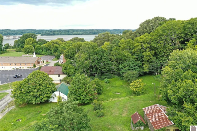 360 Boyds Landing Rd, Canton, KY 42211 - drone / aerial view