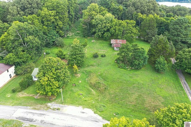 360 Boyds Landing Rd, Canton, KY 42211 - drone / aerial view