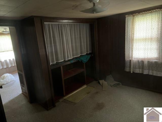 360 Boyds Landing Rd, Canton, KY 42211 - bedroom featuring multiple windows and carpet floors