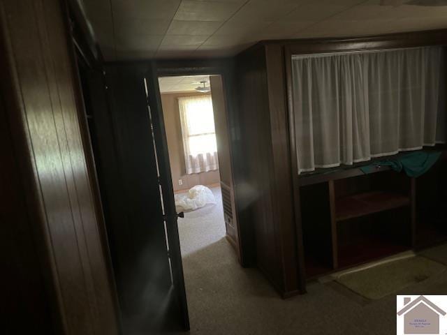 360 Boyds Landing Rd, Canton, KY 42211 - view of corridor