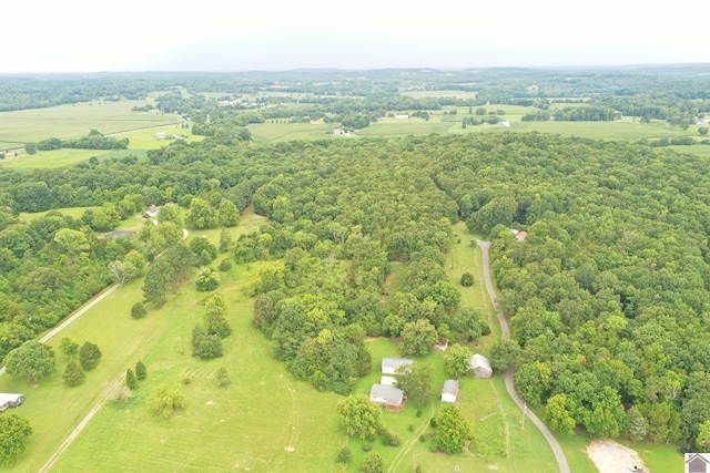 bird's eye view