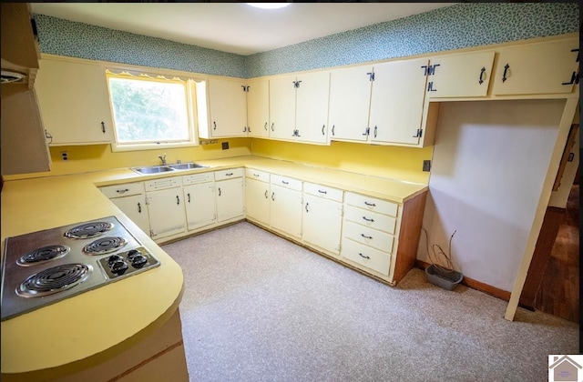 kitchen featuring sink, premium range hood, and electric stovetop