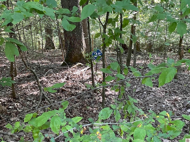 00 Pendleton Pt, Cadiz KY, 42211 land for sale