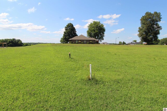 90 Torrey Pines Dr, Ledbetter, KY 42058