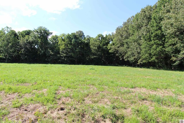 000 Spyglass Dr, Ledbetter, KY 42058