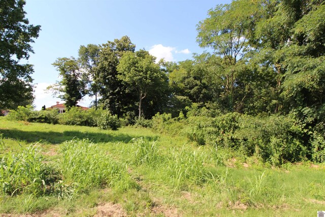 000 Spyglass Dr, Ledbetter, KY 42058
