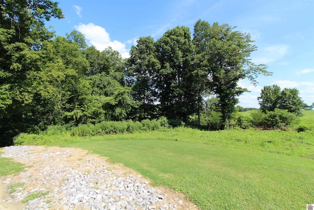 Listing photo 2 for 000 Spyglass Dr, Ledbetter KY 42058